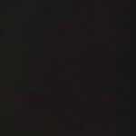 4111-37 NEGRO